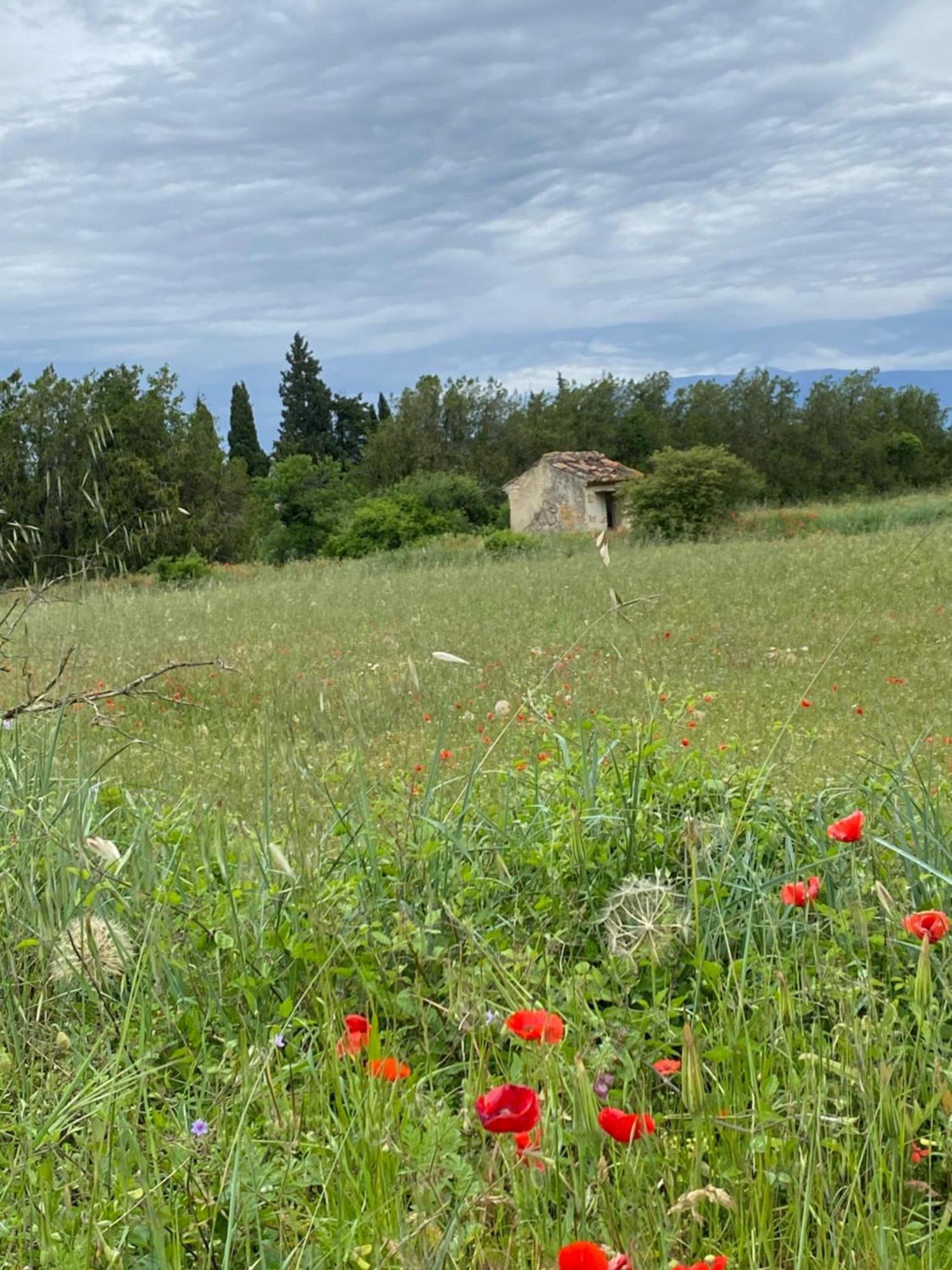 Inspiration Maison Entiere Avec Jardin Pernes-les-Fontaines Bagian luar foto